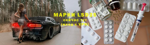прущие грибы Богданович