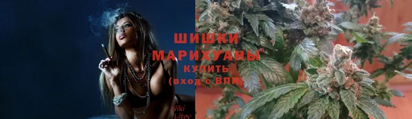 стаф Белоозёрский