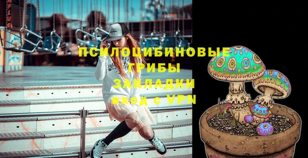 марки lsd Белокуриха