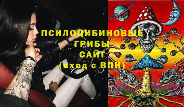 ALPHA PVP Беломорск